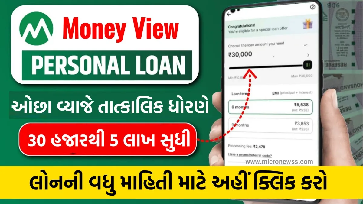 How To Take Loan From Money View